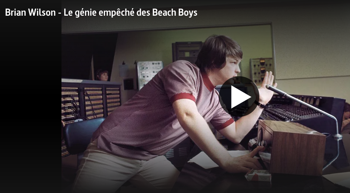 documentaire Génie empêché des Beach Boys