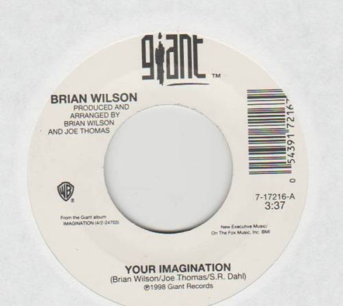 Your Imagination single