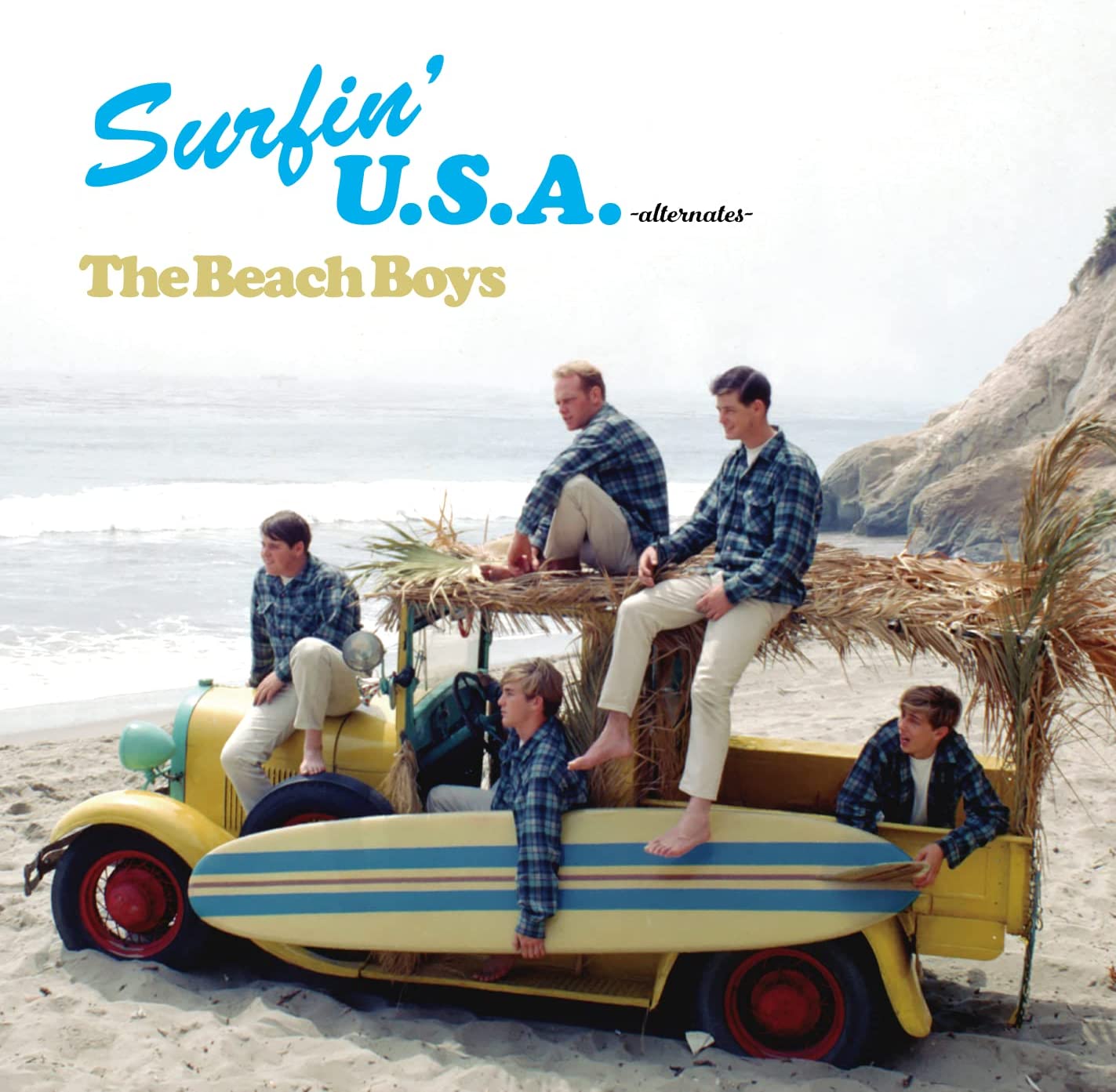 Pochette du disque Surfin' U.S.A. Alternates