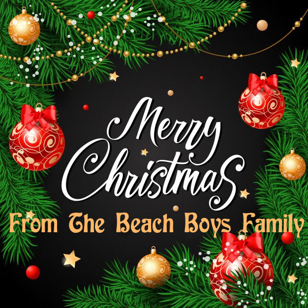 Pochette Merry Christmas From The Beach Boys Family