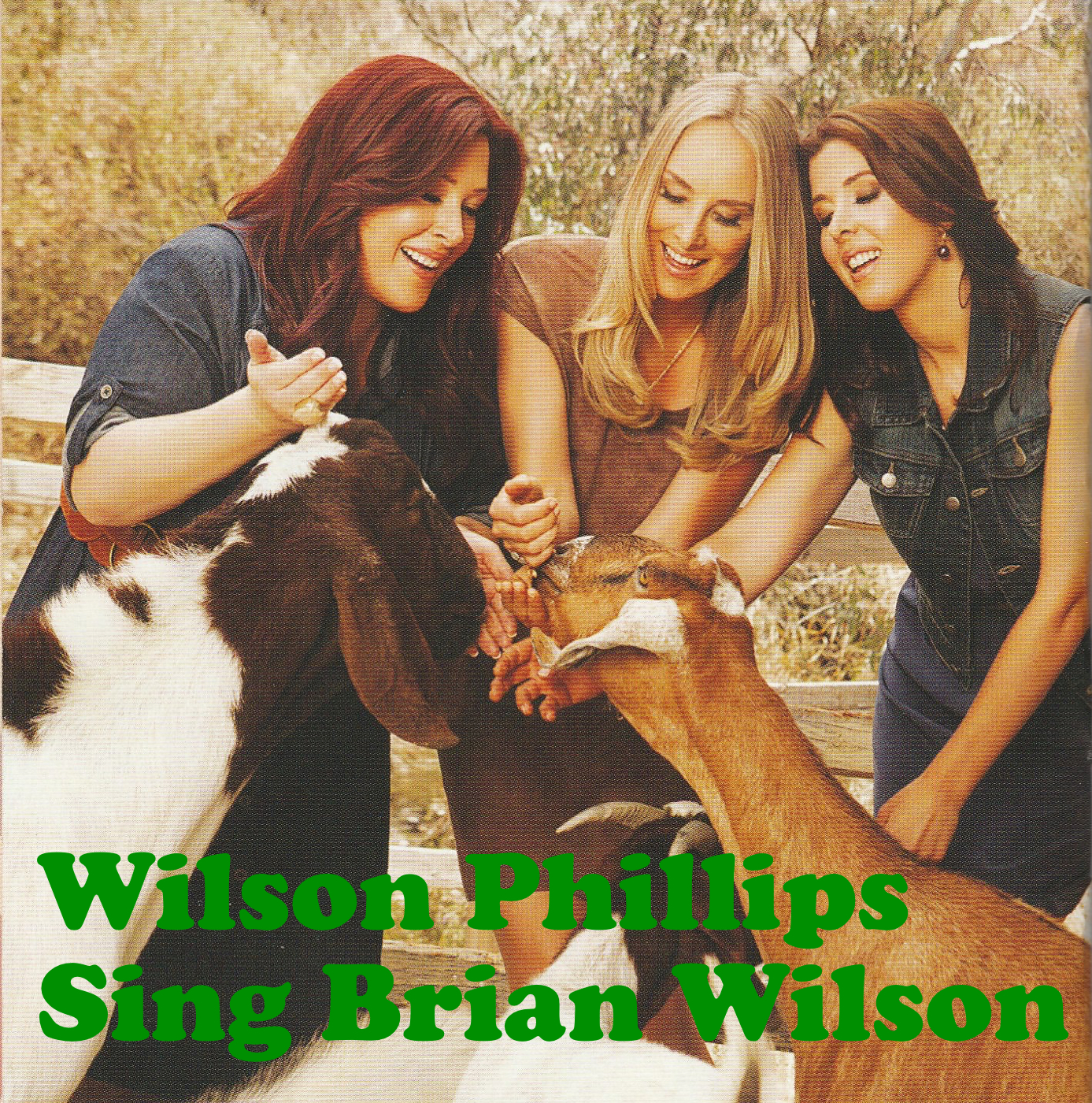 pochette de Wilson Phillips Sing Brian Wilson