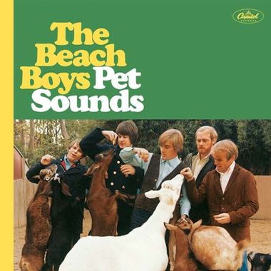 Coffret Petsounds 50th Anniversary